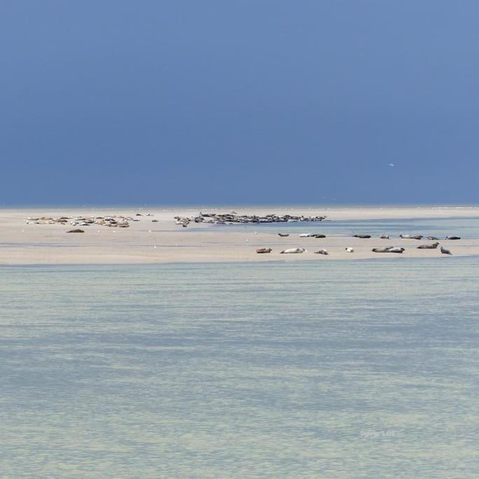 Vue Mer Berck Экстерьер фото