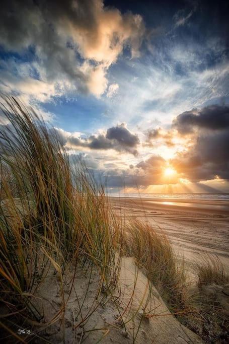 Vue Mer Berck Экстерьер фото